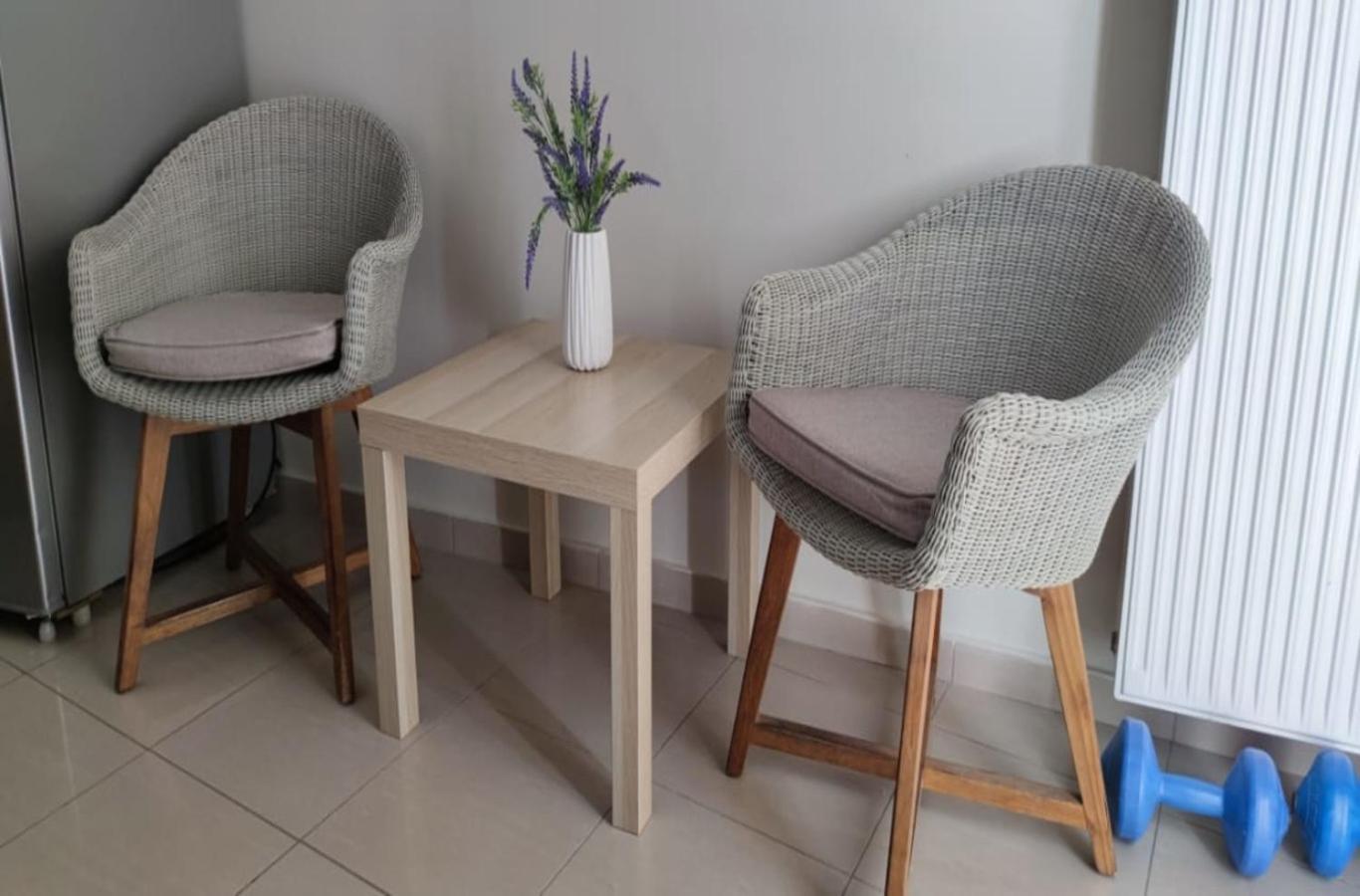 Apartment In A Quiet Location. เอเธนส์ ภายนอก รูปภาพ